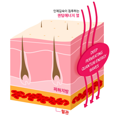 퀀텀에너지 열 침투 — 혈액흐름 증가 · 독소 제거 · 근육긴장 완화